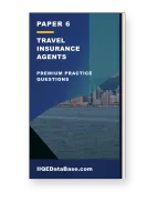 Paper 6: Travel Insurance Agents · IIQEDataBase
